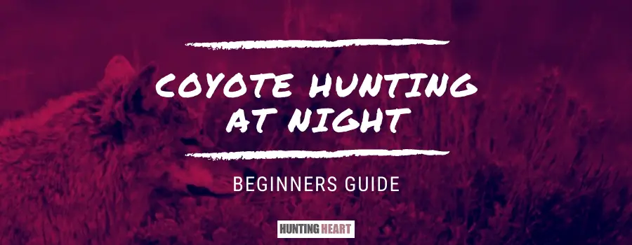 Hunting Coyotes at Night: A Beginner’s Guide - Hunting heart