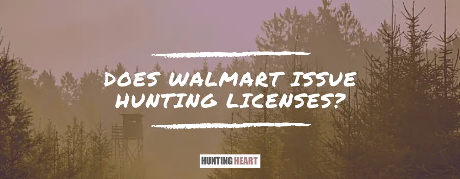 ultimate duck hunting game only price at walmart