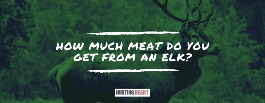 how-much-meat-do-you-get-from-an-elk-hunting-heart