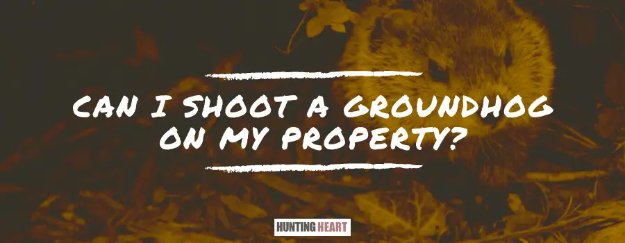 Can I Shoot a Groundhog on My Property? - Hunting heart