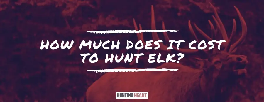 How Much Does It Cost to Hunt Elk? - Hunting heart