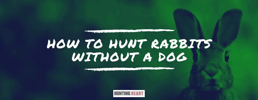 How to Hunt Rabbits without a Dog : Hunting heart