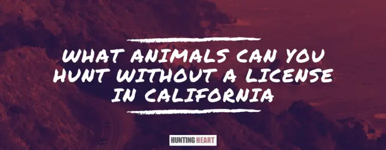 what-animals-can-you-hunt-without-a-license-in-california-hunting-heart