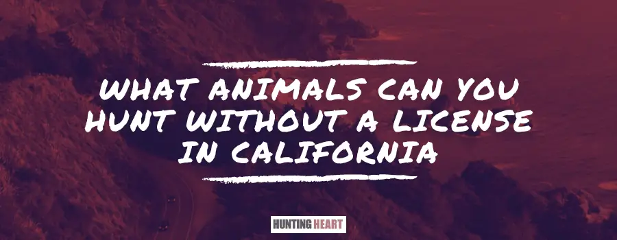 What Animals Can You Hunt Without a License in California : Hunting heart