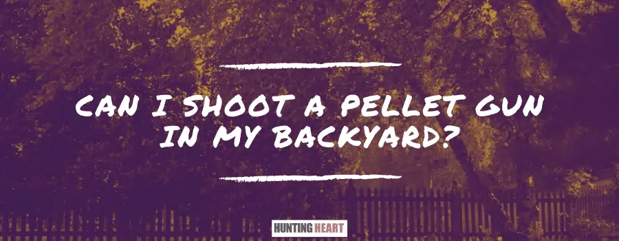 Can I Shoot a Pellet Gun in My Backyard? ( Yes, But..) - Can I Shoot A Pellet Gun In My BackyarD