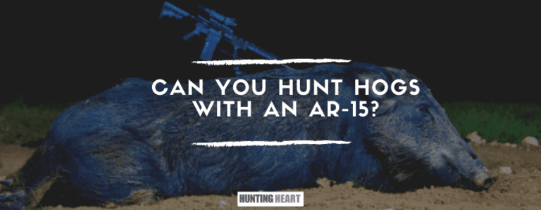 can-you-hunt-hogs-with-an-ar-15-hunting-heart