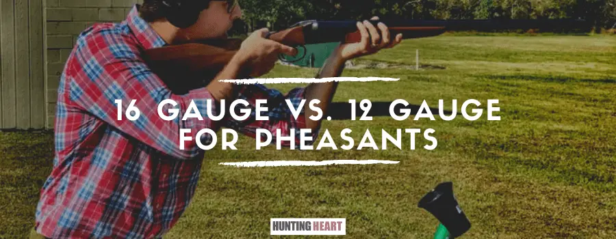 16 Gauge vs. 12 Gauge for Pheasants