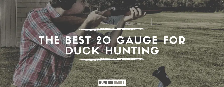 Le meilleur calibre 20 pour la chasse au canard