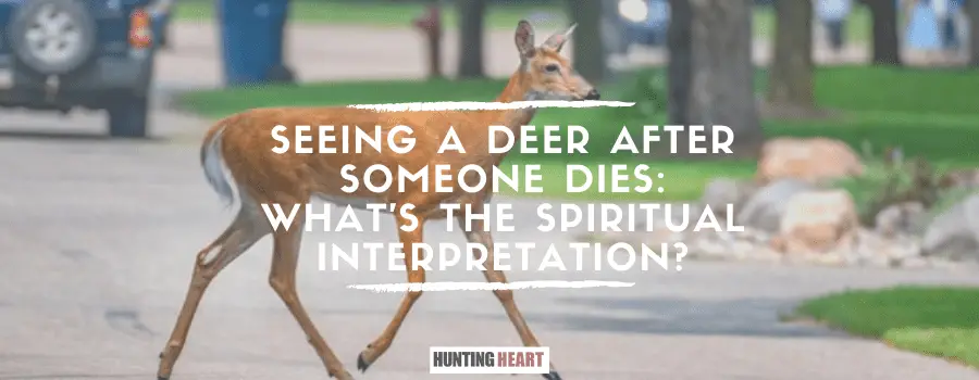 Voir un cerf après la mort de quelqu'un : Quelle'est l'interprétation spirituelle ?