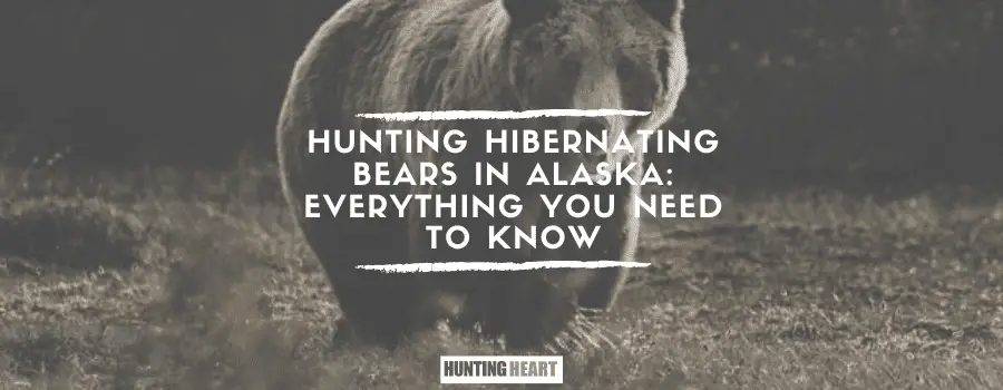 Hunting Hibernating Bears in Alaska: Everything You Need to Know