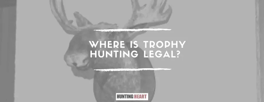 ¿Dónde es legal la caza de trofeos?